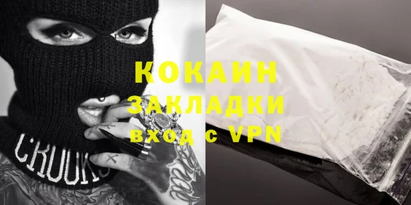 прущие грибы Михайлов
