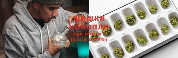 прущие грибы Михайлов