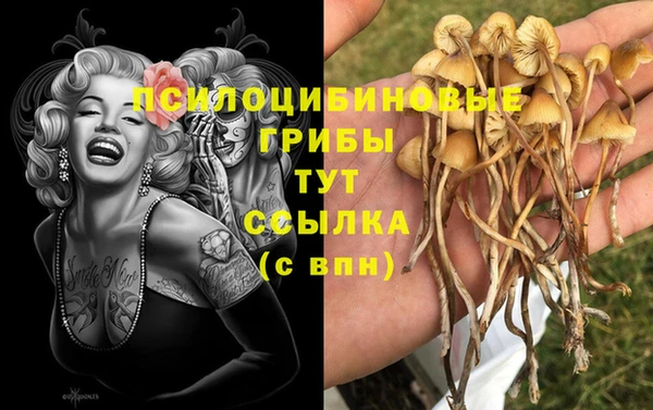 СК Михайловка