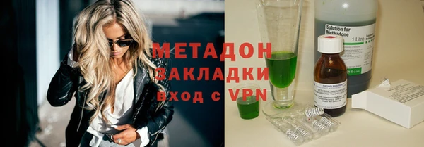 прущие грибы Михайлов