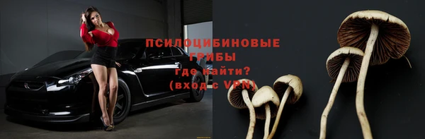 СК Михайловка
