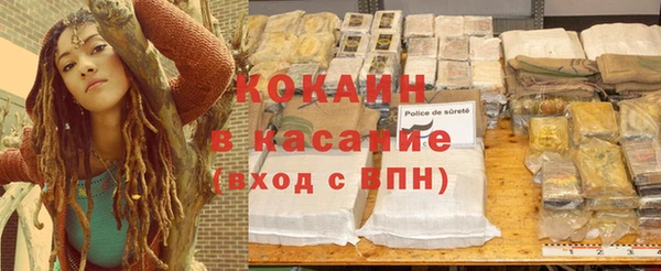 прущие грибы Михайлов