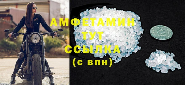 прущие грибы Михайлов