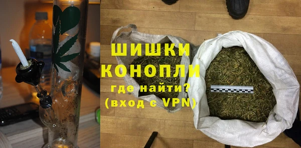 прущие грибы Михайлов