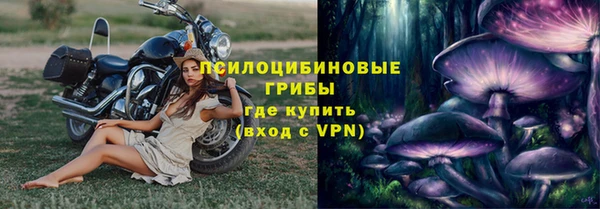 прущие грибы Михайлов