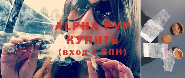 прущие грибы Михайлов