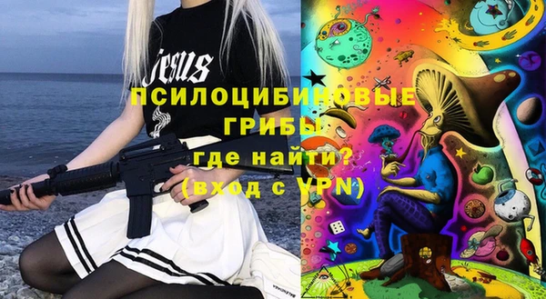 прущие грибы Михайлов