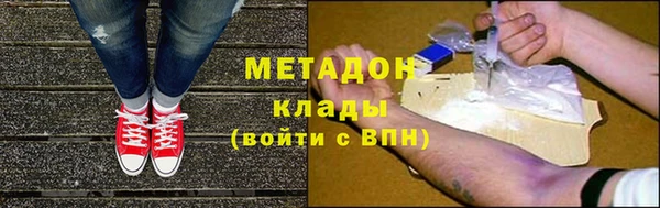 прущие грибы Михайлов