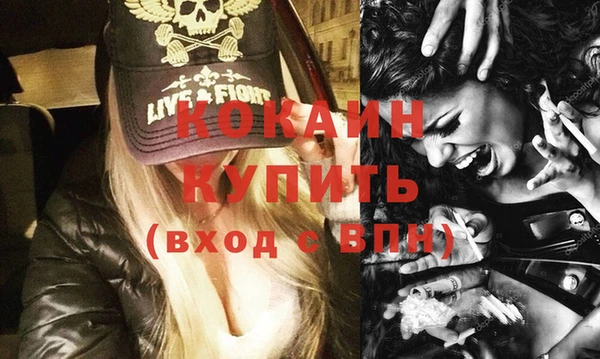 прущие грибы Михайлов